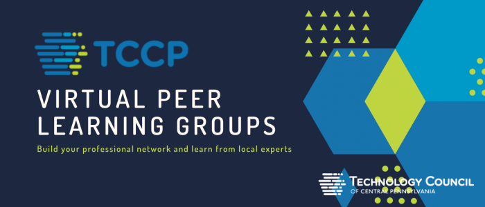 Virtual Peer Learning Groups Image